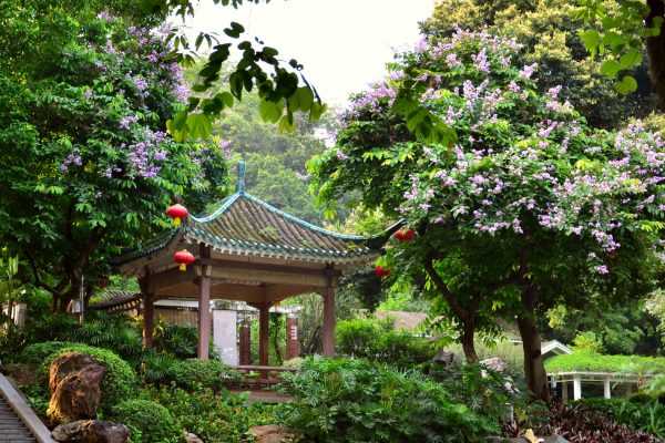 5-Yuexiu Parkı